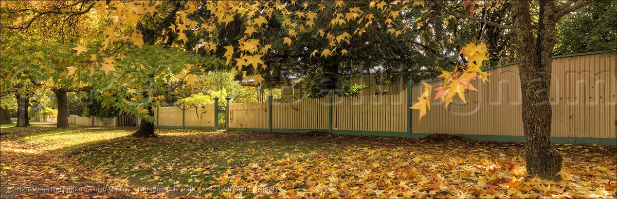 Peter Bellingham Photography Beechworth Fall - VIC (PBH4 00 13609)